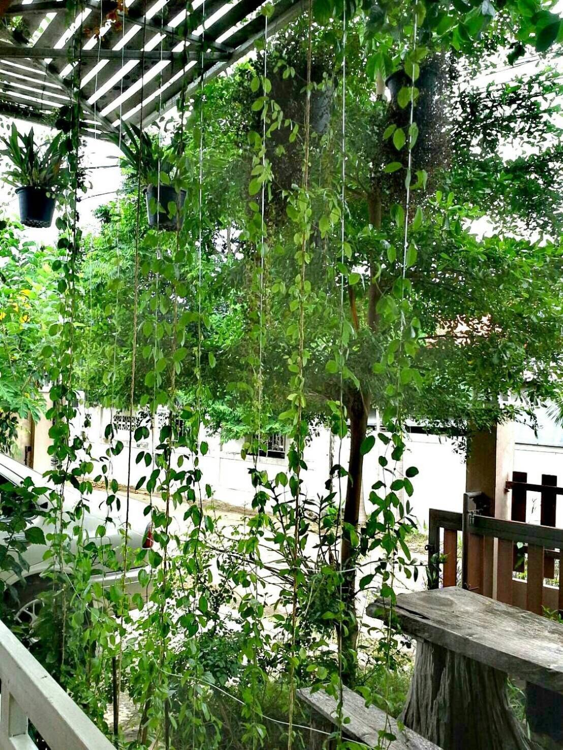 Lampang Lanna Home מראה חיצוני תמונה