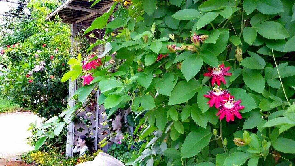 Lampang Lanna Home מראה חיצוני תמונה