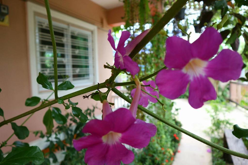 Lampang Lanna Home מראה חיצוני תמונה