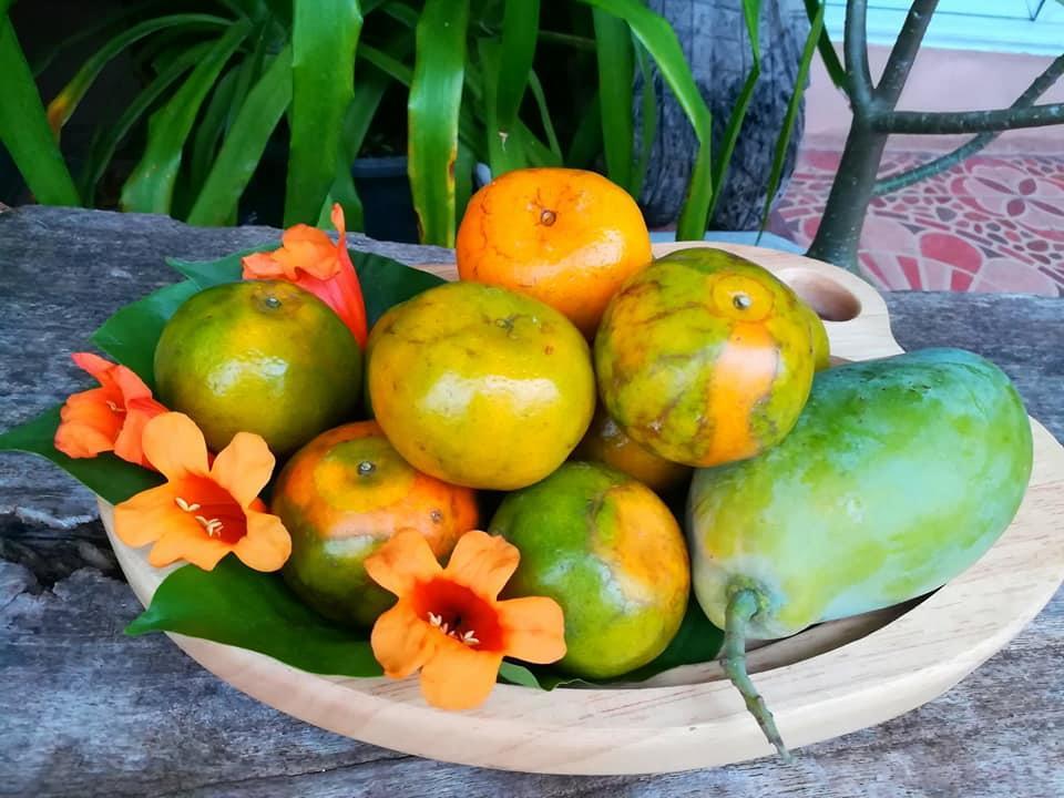 Lampang Lanna Home מראה חיצוני תמונה